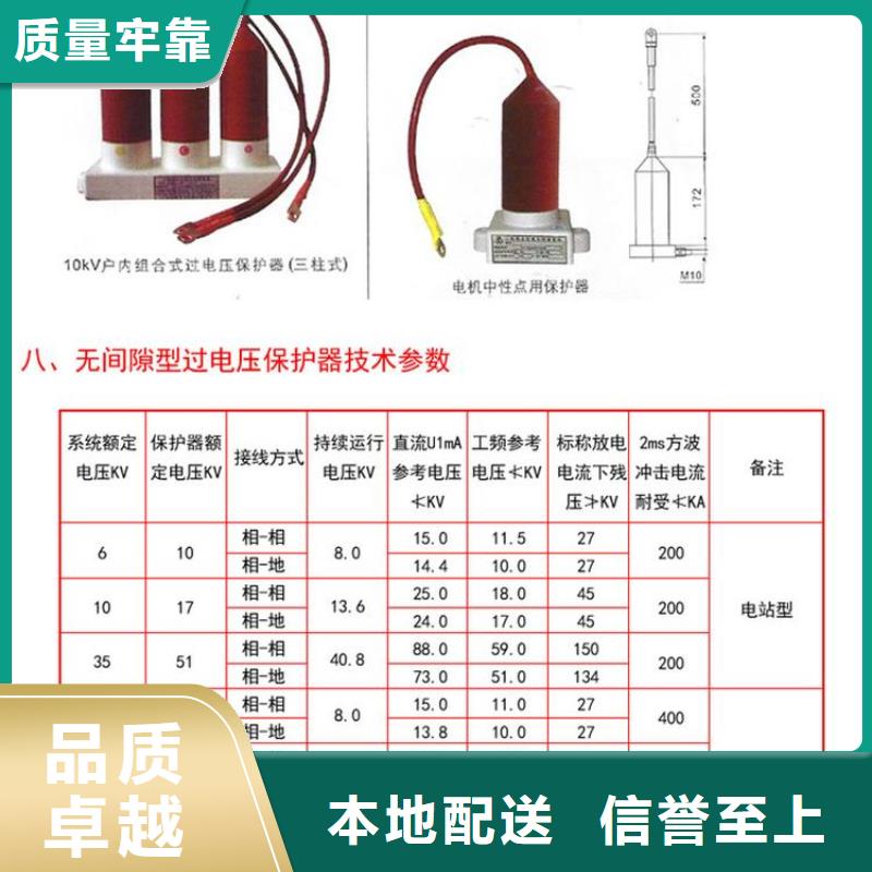 保护器(组合式避雷器)TBP-C-12.7F/85