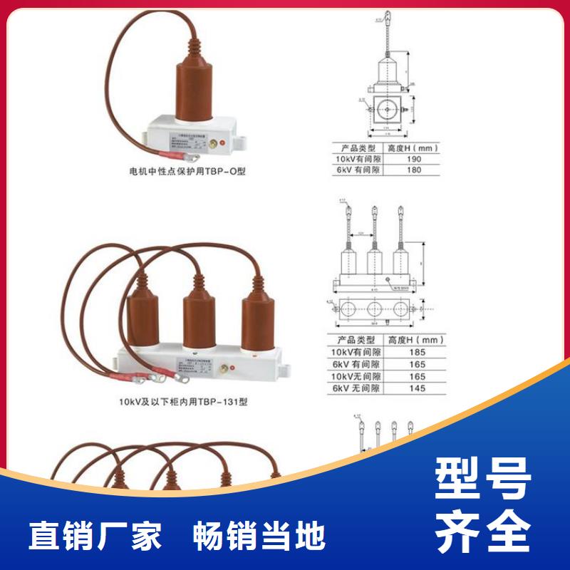 保护器(组合式避雷器)RTB-R-12.7KV/85-J