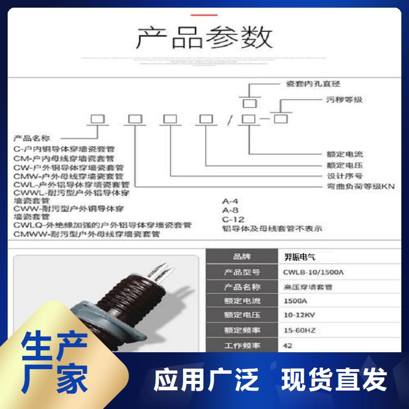 穿墙套管CWB-20KV/630