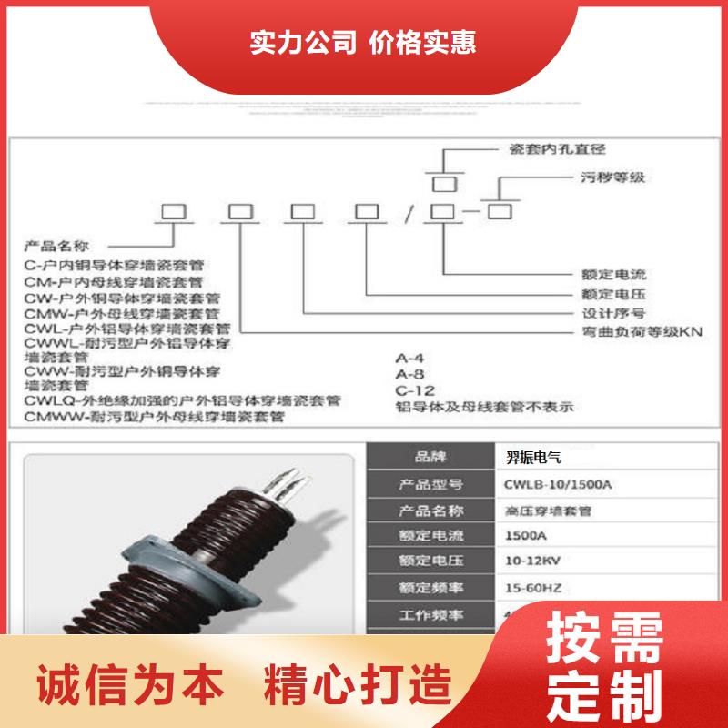 穿墙套管CC-10/3000.