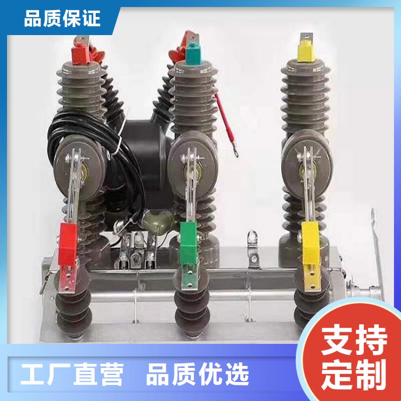 ZW32-12/630智能分界真空断路器