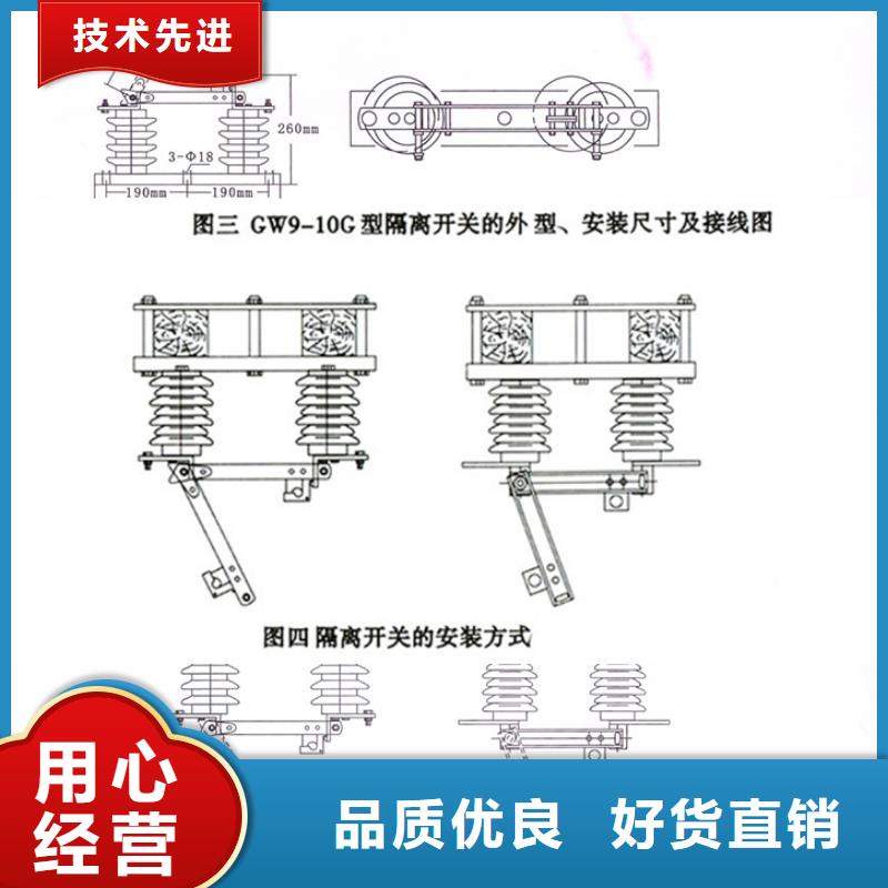 【隔离刀闸】HGW9-10G/630A