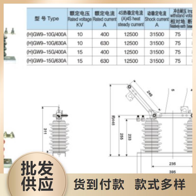 品牌：【羿振电气】GW9-12KV/630高压隔离开关生产厂家