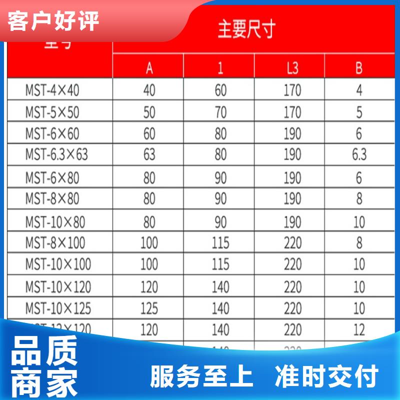 铜软连接YST-10*120,铜软连接YST-10*125