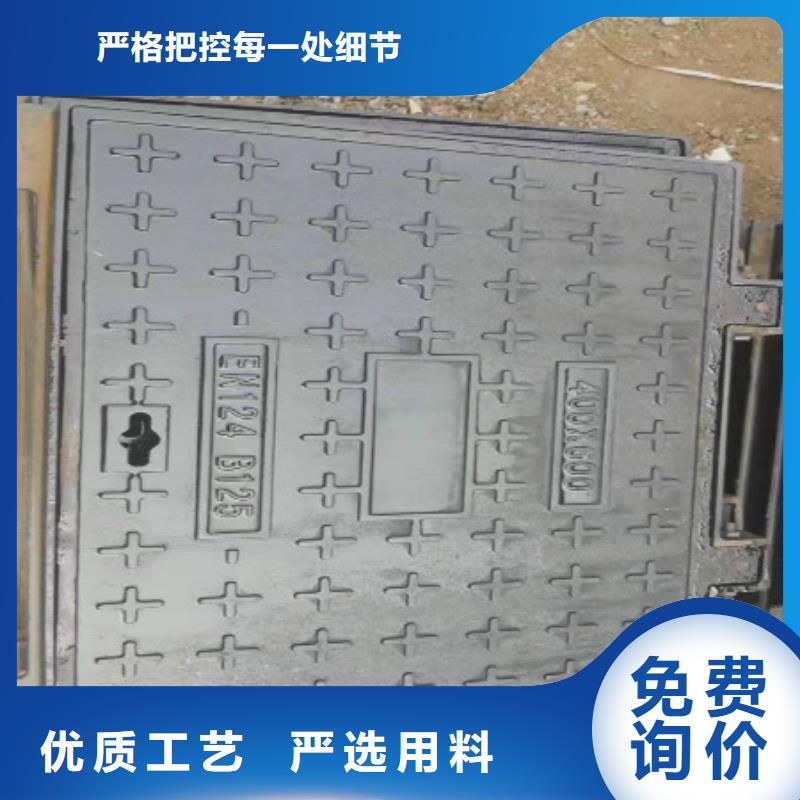 球墨铸铁-球墨铸铁管件厂家实力雄厚