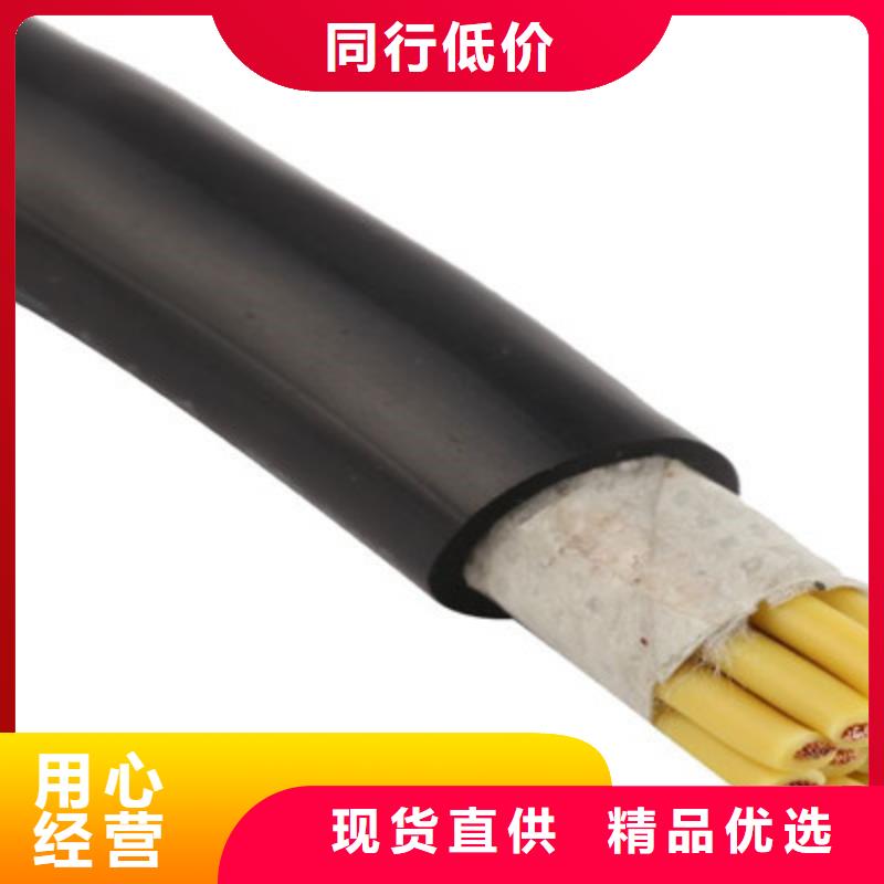 耐寒阻燃控制电缆ZR-DJYPVPHD4X2.5-耐寒阻燃控制电缆ZR-DJYPVPHD4X2.5品牌