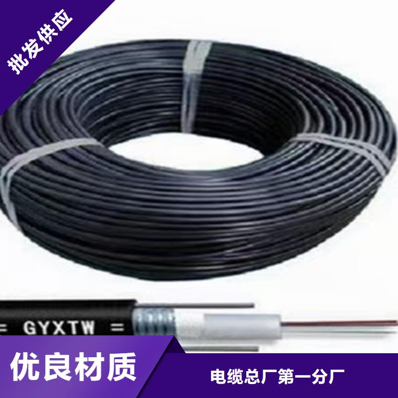 CAN-DW-RS485/92特种电缆直销价格