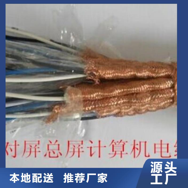 计算机屏蔽电缆DJVVPR4X2X0.75