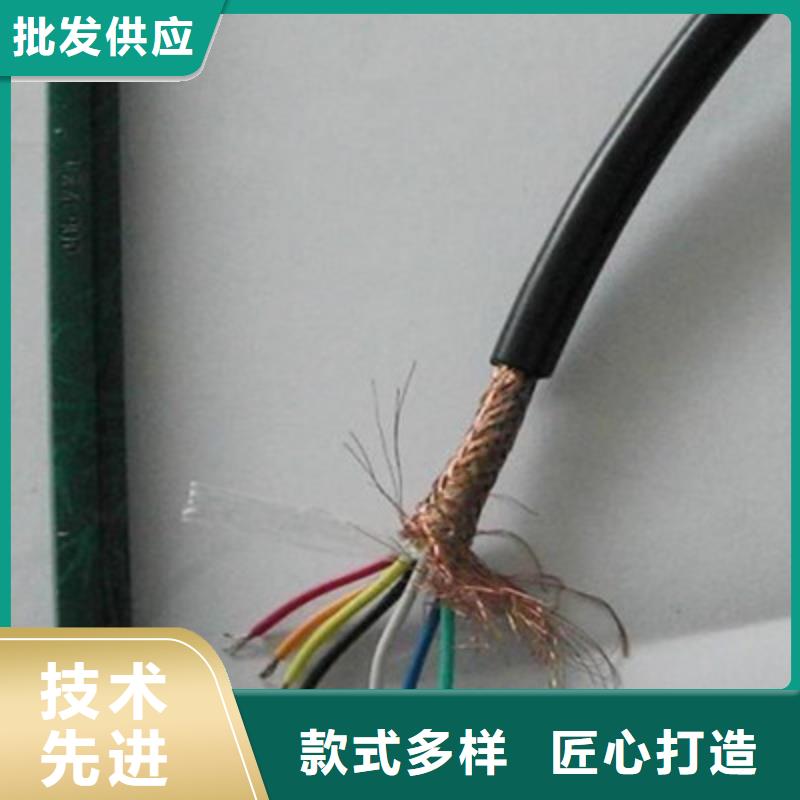 计算机电缆屏蔽电缆源厂供货