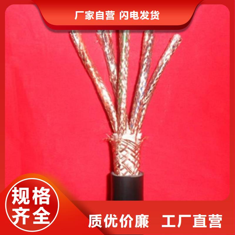 DJVP1V-TR铠装计算机电缆3X2X2.5