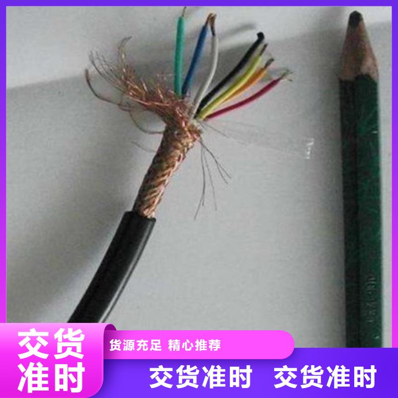 计算机屏蔽电缆ZRC-JVPV-2A定制-厂家直销