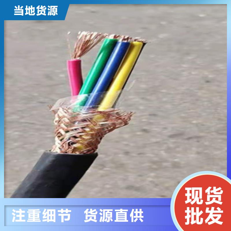 计算机电缆【电缆生产厂家】品质优选