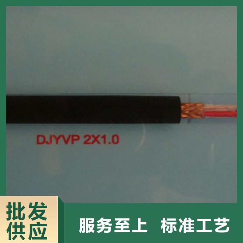 阻燃计算机电缆ZR-DJVP3V22生产厂家_10年经验