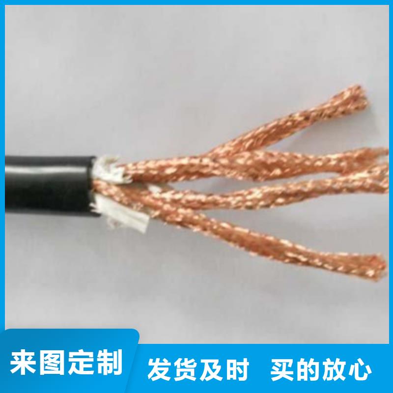 耐火计算机电缆NH-HBIYP2YVZ-III5X2X2.5