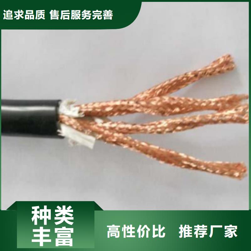 耐火计算机电缆NH-ZRB-DJYP3VDP23X2X1.0