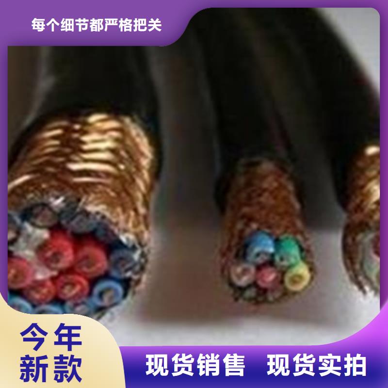 【耐高温电缆控制电缆大厂生产品质】-严格把控每一处细节<电缆>