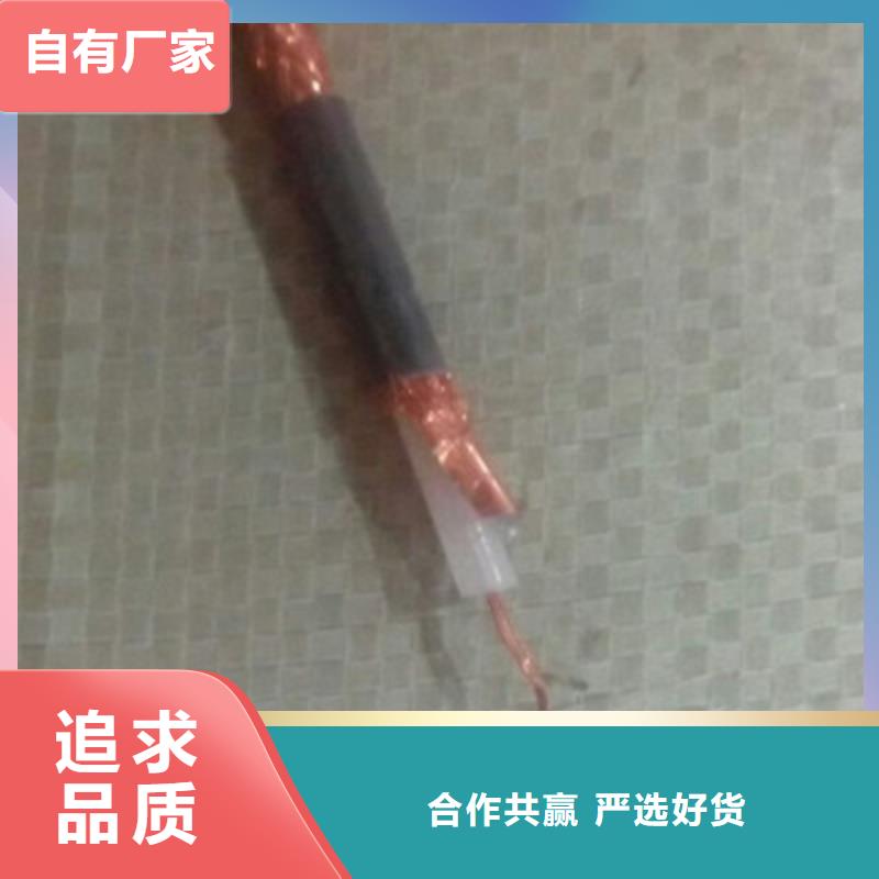 视频电缆SYV大企业