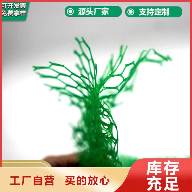 三维植被网防渗膜质量无忧