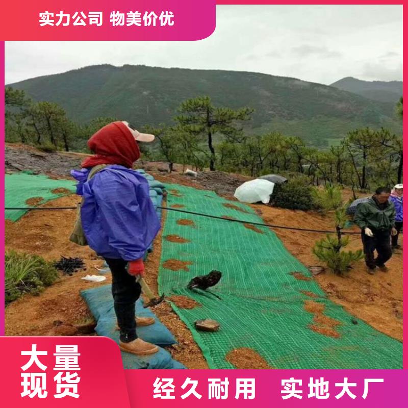 【椰丝毯】土工布支持批发零售