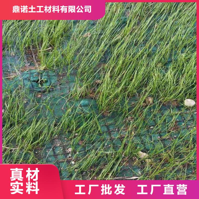 椰丝毯【防水板】用心做品质