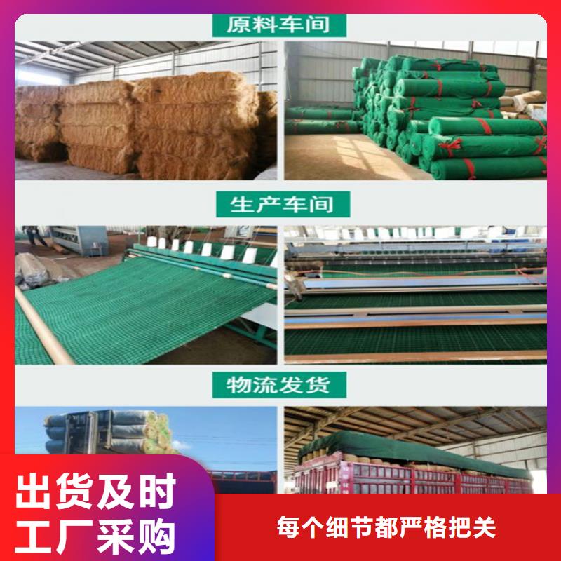 【椰丝毯】双向塑料土工格栅行业优选