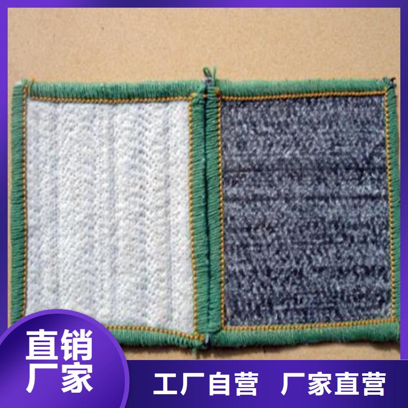 膨润土防水毯_植草格厂家现货供应