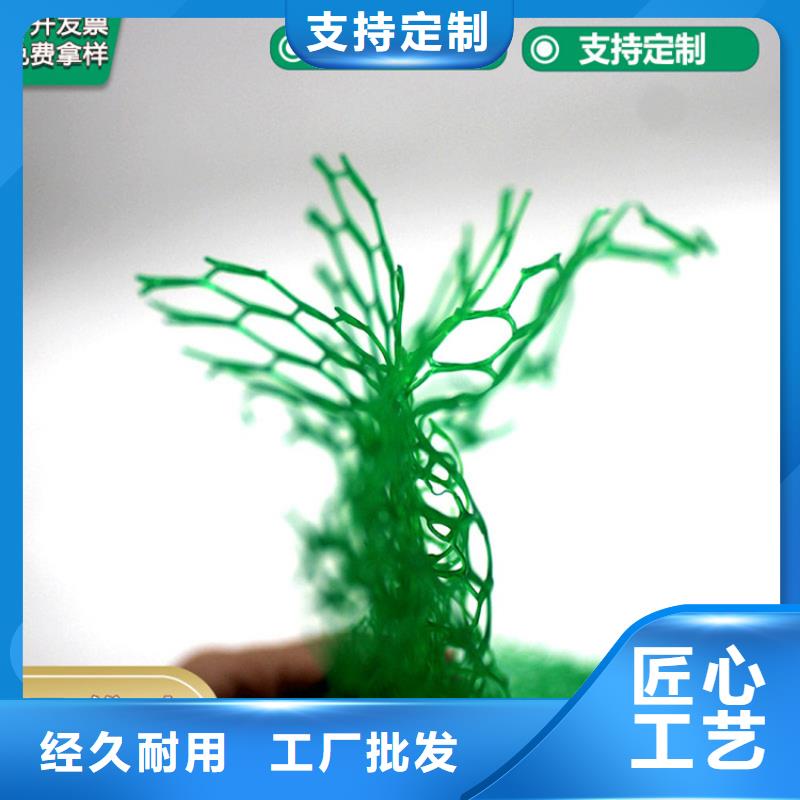 【三维植被网,软式透水管今日价格】