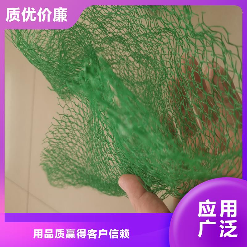 三维植被网土工膜优选原材