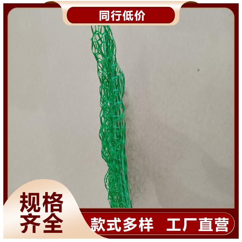 【三维植被网,软式透水管今日价格】