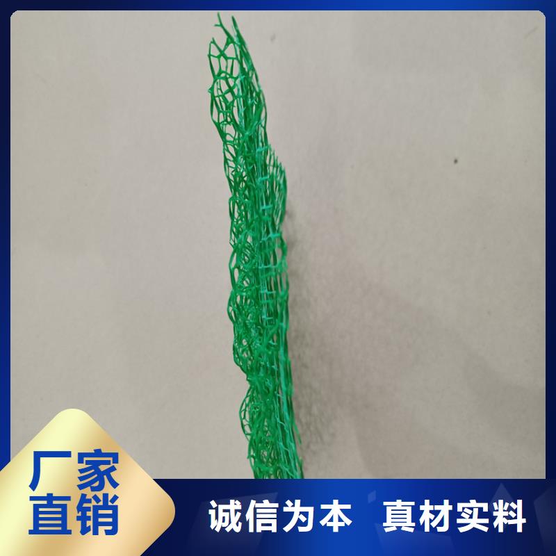 【三维植被网_车库顶板排水板敢与同行比质量】