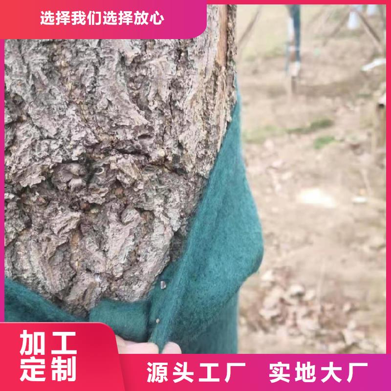 【裹树布_透水管定制不额外收费】