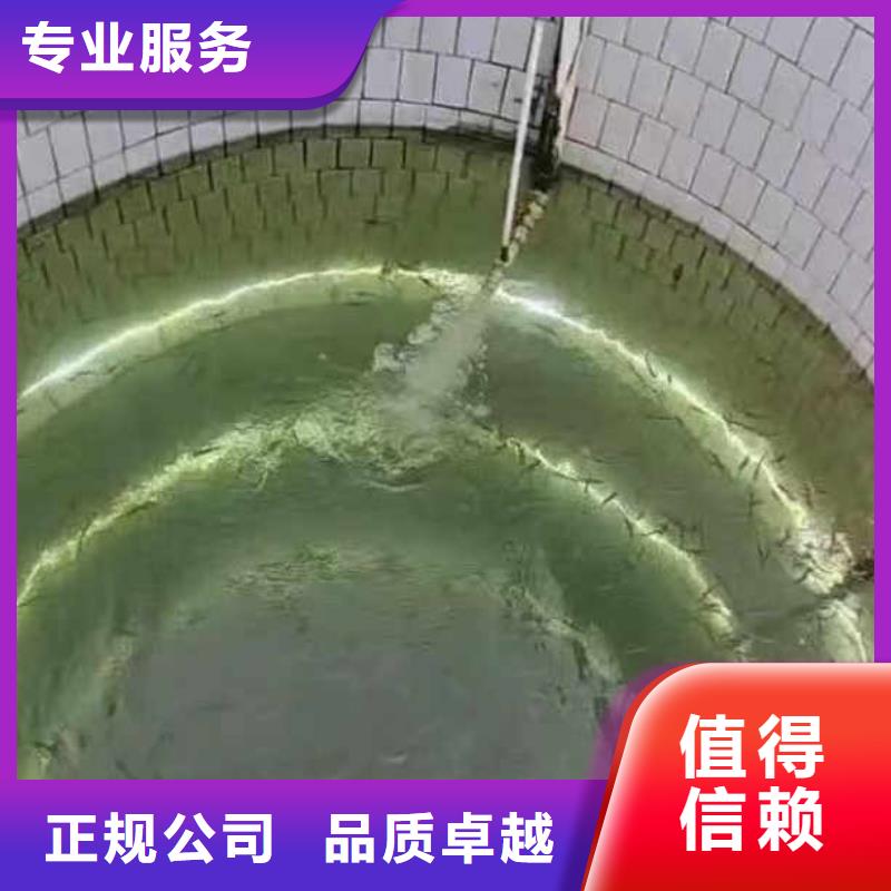 水下作业潜水员服务水下安装服务精英团队