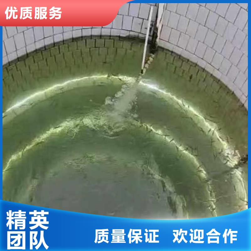 水下打捞手机项链等贵重物品一最新价格优惠一浪淘沙潜水