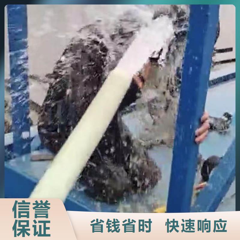 码头桥桩水下检测拍照加固一最新在线咨询一水下检测