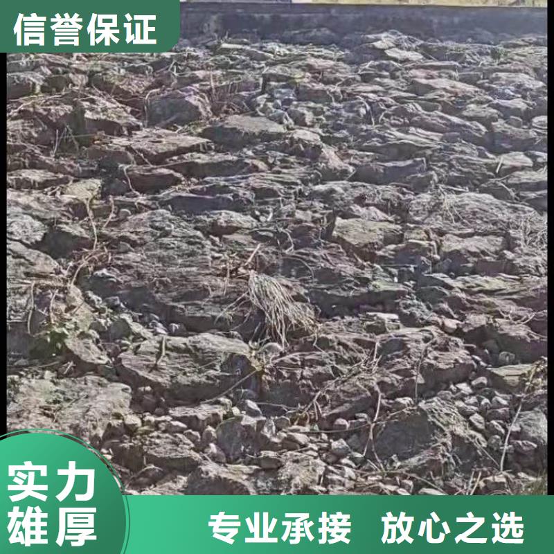 潜水员封堵管道公司一最新厂家供应一潜水员服务