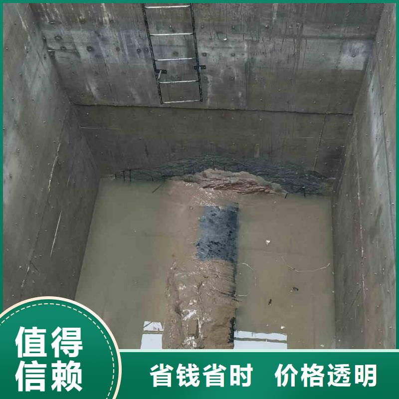 潜水员服务本地潜水搜索团队口碑公司