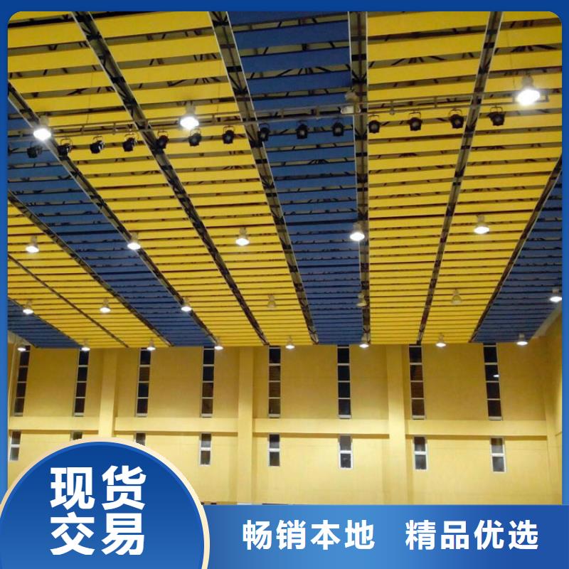 扶绥县羽毛球馆体育馆吸音改造价格--2024最近方案/价格