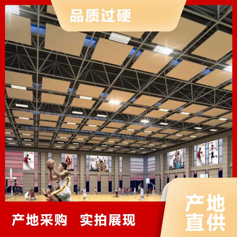 蒙山县集团公司体育馆吸音改造公司--2024最近方案/价格