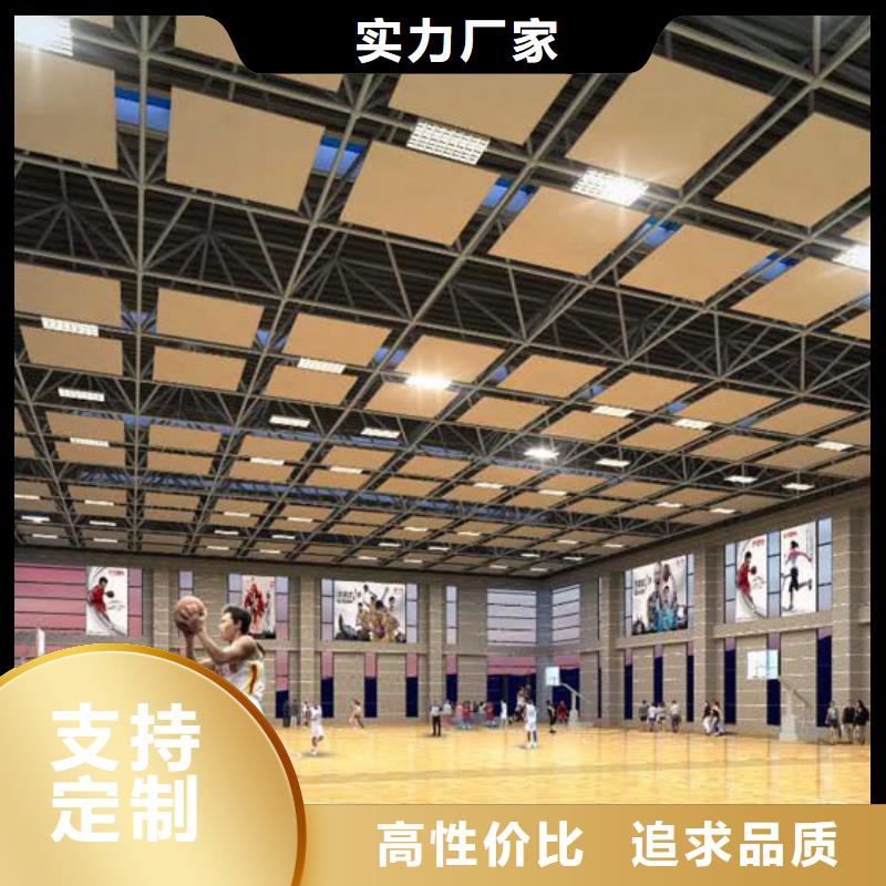 河南省实力商家推荐【凯音】县羽毛球馆体育馆声学改造价格--2024最近方案/价格