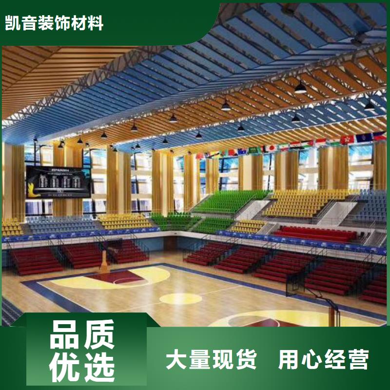 广东省厂家直销售后完善《凯音》县专业体育馆吸音改造价格--2024最近方案/价格