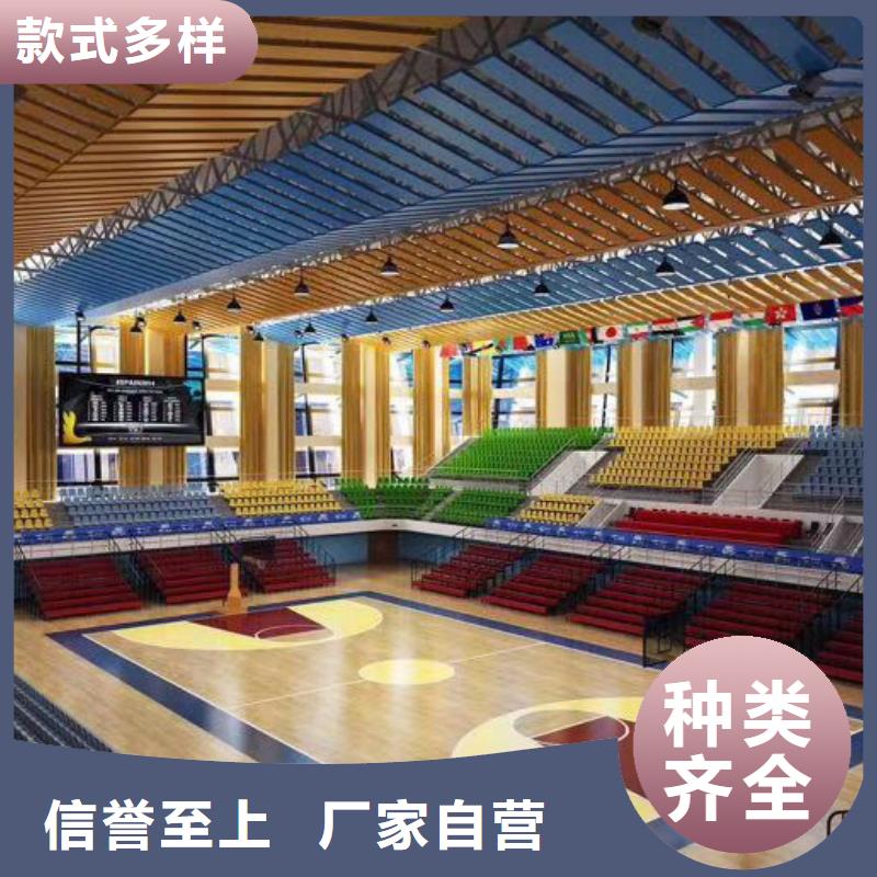 临西县专业体育馆声学改造公司--2024最近方案/价格