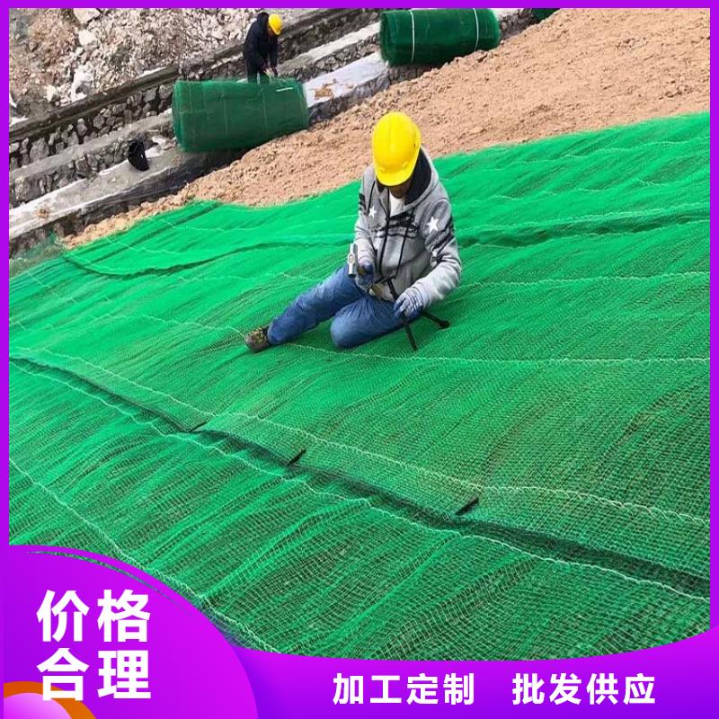 三维植被网_聚丙烯腈纤维供您所需