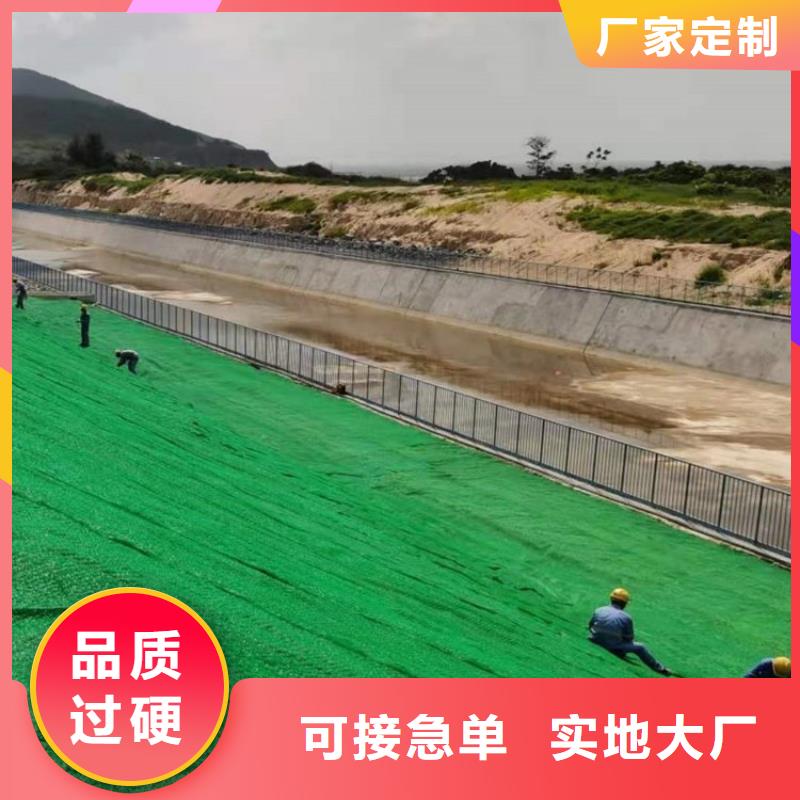 三维植被网【铜片止水厂家】价格公道合理