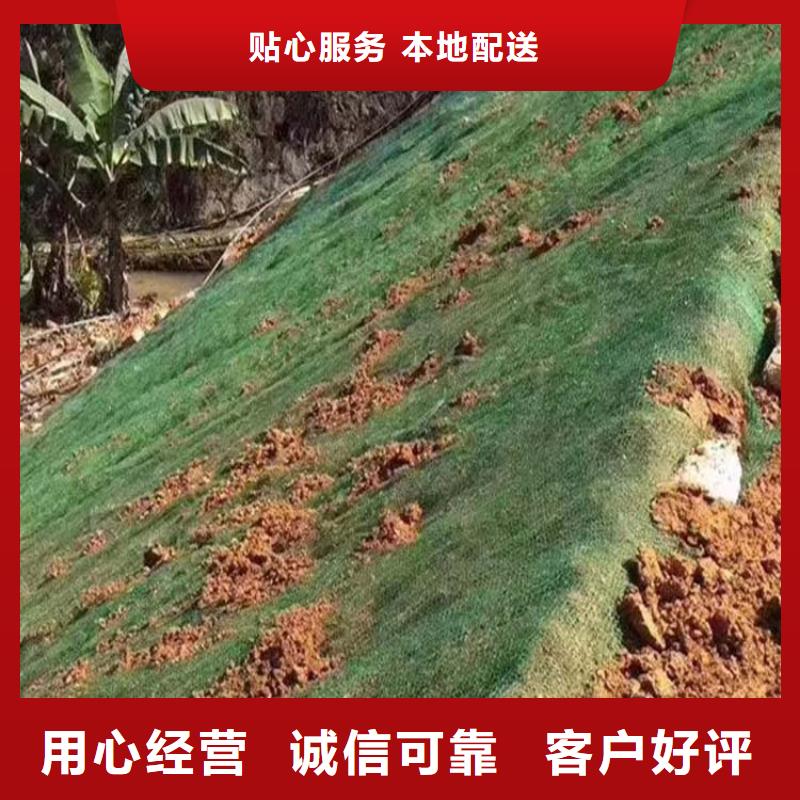 三维植被网【铜片止水厂家】价格公道合理