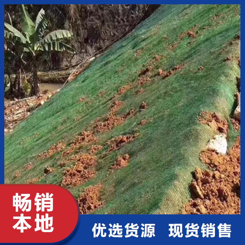 三维植被网软式透水管设计制造销售服务一体