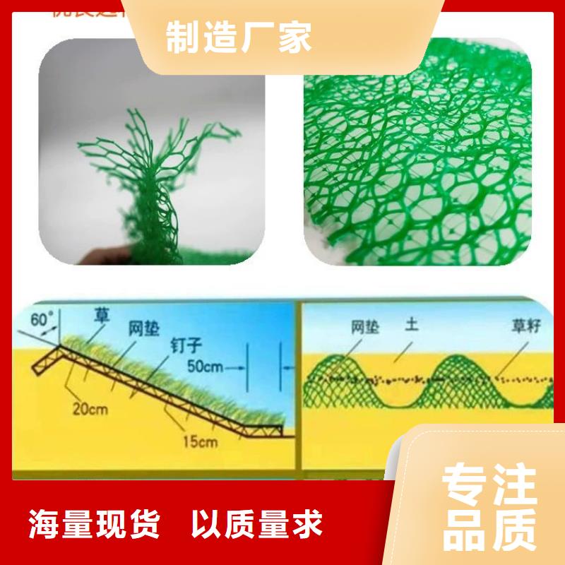 三维植被网【止水铜片】买的放心