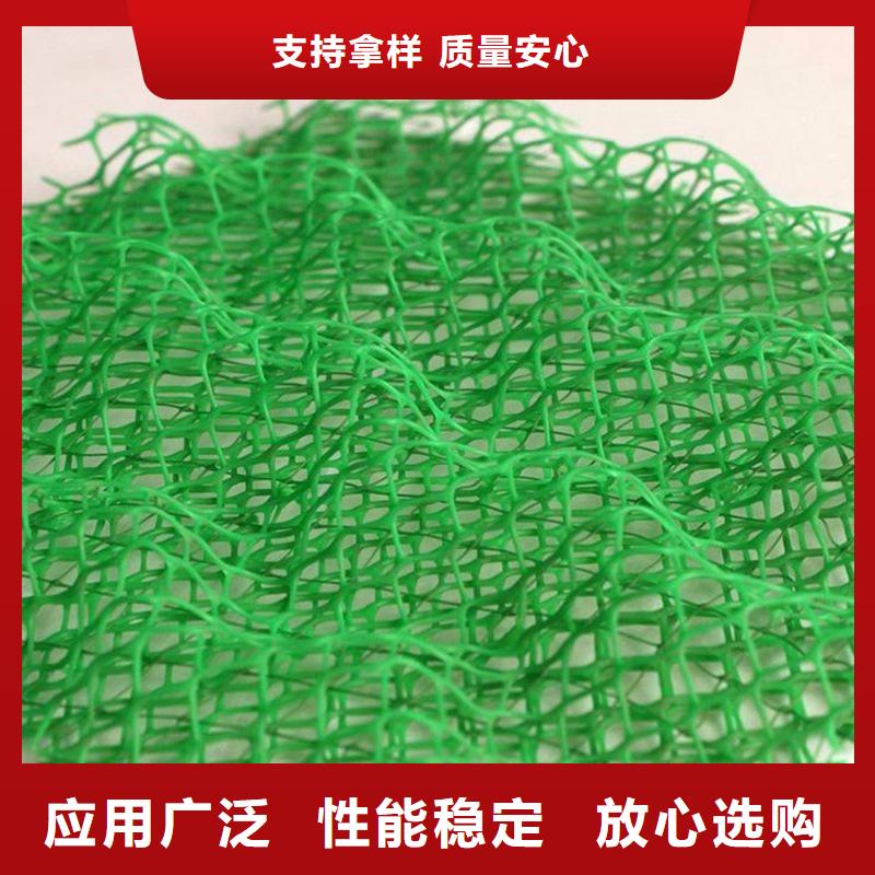 塑料三维植被网价格公道