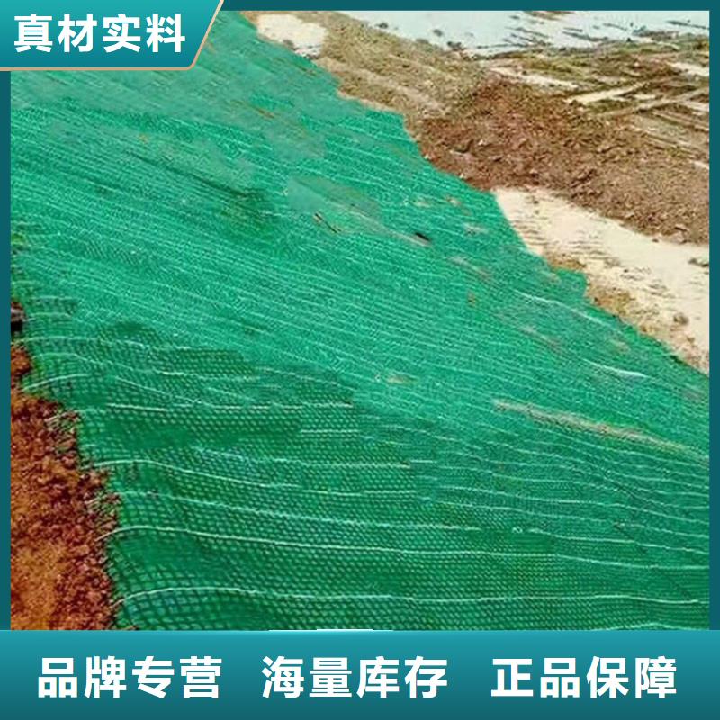 加筋抗冲生物毯-加筋抗冲生态毯规格定制