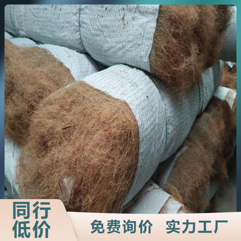 加筋抗冲生物毯施工资讯