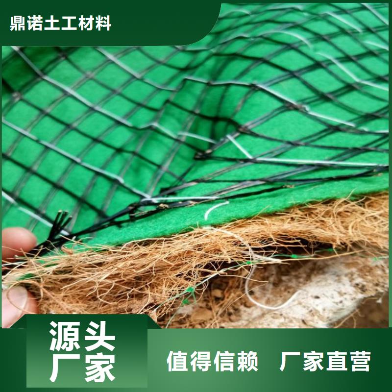 植生椰丝毯护坡植被植草毯施工新闻已更新